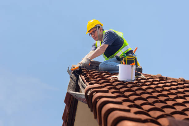 Steel Roofing in Lawai, HI